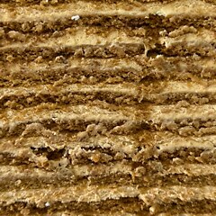 Cross-section of the caramel honey cake