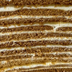 Cross-section of the lemon honey cake